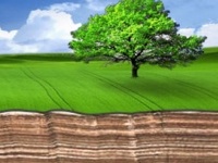 Eventi: Progettare il futuro. Il ruolo dell'ingegneria ambientale nel sistema Italia  - Roma, 27 novembre 2012