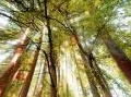 Eventi: Efficienza energetica e tecnologie chimiche nelle produzioni elettriche e energetiche - Il 16� workshop del programma Tacet si terra' a Milano il prossimo 23 maggio 
