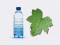 News: La nuova bioplastica - Una ricerca olandese scopre un procedimento economico per produrre plastica da biomassa