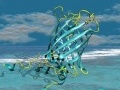 News: Ecco la super-proteina fluorescente - Nei laboratori francesi di Grenoble e' stata progettata una molecola che emette luce turchese e garantisce immagini cellulari in alta risoluzione