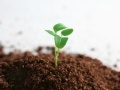 Innovazione: Dagli Stati Generali della Green Economy la fotografia dell'Italia 'verde' - La due giorni di Rimini si e' chiusa con l'analisi dei sei settori strategici alla conversione ecologica dell'economia e indicando una road map verso la sostenibilita' in 70 proposte