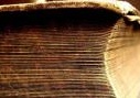 informatica: Google e Mibac per la digitalizzazione del patrimonio librario -   Sono partiti il 10 dicembre dalla Biblioteca Nazionale Centrale di Roma i primi volumi destinati a inaugurare il progetto che coinvolgera' da un minimo di 500.000 a un massimo di 1 milione di libri