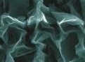 materiali: Una foglia di grafene per i muscoli artificiali -   Universita' di Trento,Mit e Duke per un nuovo materiale ispirato all'idrofobia del loto che apre una strada all'elettronica flessibile e alla nanomedicina