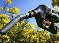 informatica: Biocarburanti: online il portale per le comunicazioni al Gse -   Il Gestore servizi energetici apre l'applicativo web per la dichiarazione della quota minima di immissione, prevista dall'adeguamento alla normativa Ue