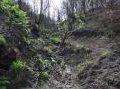 idrogeologia: A rischio 4 milioni di ettari di terreni agro-forestali  -   Presentate le linee guida per la valutazione del dissesto idrogeologico e la sua mitigazione