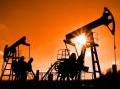 News: Wwf, Legambiente e Greenpeace contro il Dl sulla Strategia energetica nazionale - Approvato in extremis dal Governo uscente, il Decreto interministeriale sarebbe un 