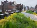 ambiente: Il verde urbano pro capite e' in aumento -   Il rapporto sul Benessere di Istat e Cnel fotografa l'incremento delle aree verdi nelle citta' ma rileva la presenza di forti rischi, come f...