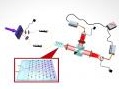 innovazione: Verso il processore a fotoni per i computer del futuro -   Cnr, Sapienza e Politecnico di Milano hanno �disegnato', grazie alla scrittura laser a impulsi ultrabrevi, un vero e proprio circuito ottico all'interno di un chip in vetro 