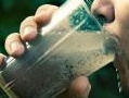 ambiente: Pesticidi, le acque italiane contaminate nel 55% dei casi -   Preoccupante fotografia dell'Ispra sulla presenza nelle acque delle sostanze nocive, principalmente fitosanitari ad uso agricolo ma anche biocidi 