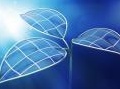 scienza: Fotovoltaico e fotosintesi, piu' chiaro il meccanismo quantistico -   Un team del Cnr ha realizzato in laboratorio un prototipo artificiale di light-harvesting, fase iniziale di entrambi i processi