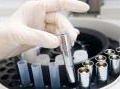 chimica: Metodo Stamina, interviene l'Ema -   Non parla espressamente dell'Italia, ma l'Agenzia europea del farmaco avverte: 
