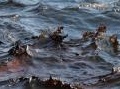 ambiente: Il grafene bianco contro le maree nere -   Un team di ricerca australiano l'ha impiegato per realizzare nano-fogli porosi in grado di assorbire petrolio fino a 33 volte il suo peso