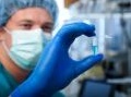 scienza: Il Rapporto 2013 sulle biotecnologie in Italia di Assobiotec -   Presentato insieme al Rapporto Farmindustria, fotografa un quadro ricco di potenzialita' ma ancora poco sostenuto da provvedimenti istituzionali 