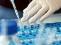 News: Le biotecnologie in Italia nei rapporti Assobiotec e Farmindustria - I due documenti fotografano una realta' ricca dal significativo potenziale economico e di sviluppo, ma ancora scarsamente supportato da provvedimenti istituzionali 