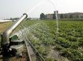 sicurezza: Acqua all'arsenico, lo studio Inail sui lavoratori professionalmente esposti -   Realizzata in collaborazione con l'Universita' La Sapienza, la ricerca apre nuove prospettive per la rilevazione della contaminazione da arsenico organico