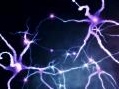 chimica: Eps8 e' la proteina chiave nei processi di memoria e apprendimento -   A svelarne i meccanismi molecolari, i ricercatori italiani dell'Universita' degli Studi di Milano, Istituto di neuroscienze del Cnr e Humani...