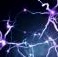 Eps8 e' la proteina chiave nei processi di memoria e apprendimento