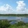 Giornata mondiale della biodiversita' 2013, il Rapporto Legambiente