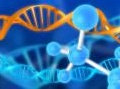 chimica: Biotecnologie: innovazione italiana per uscire dalla crisi -   � la �ricetta' indicata da Assobiotec all'assemblea annuale. Alessandro Sidoli rieletto presidente e Assobiotec Award al Cnr 
