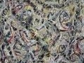chimica: Pollock �studiato' da Cnr e Universita' di Perugia  -   Il Molab, laboratorio mobile per le indagini non invasive sulle opere d'arte, al Guggenheim di Venezia 