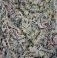 Pollock �studiato' da Cnr e Universita' di Perugia 