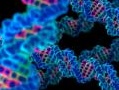 chimica: I vaccini a Dna: la sfida biotech per la lotta ai tumori -   Dall'ingegneria genetica e dall'immuno-informatica nasce una nuova sfida nel campo delle biotecnologie mediche