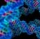 I vaccini a Dna: la sfida biotech per la lotta ai tumori