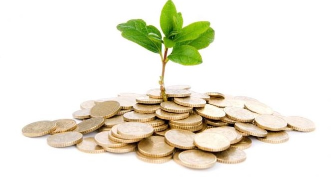 Biodiversita' e green economy: 'La natura dell'Italia', 1˚ conferenza nazionale Biodiversita' e green economy: 'La natura dell'Italia', 1˚ conferenza nazionale