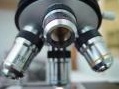 Ricerca e Universit&agrave;: Un bando da 76,5 milioni a sostegno della ricerca al Sud - L'obiettivo principale e' individuare nuovi investimenti per sostenere lo sviluppo del sistema della ricerca e dell'istruzione in Campania, Puglia, Calabria, Sicilia 