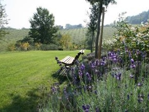 Progettazione: Il giardino privato: una progettazione integrata tra tecnica ed estetica - La progettazione si lega in maniera imprescindibile alla comprensione dello spirito del luogo, all'uso che ne viene fatto, all'architettura ad esso connessa 