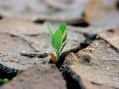 Zoom: Istat e Cnel misurano il benessere sociale: focus sull'ambiente - Uno dei capitoli del primo Rapporto Bes 2013 e' dedicato all'ambiente e alle risorse naturali disponibili